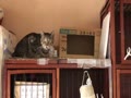 まっちゃん まっちゃん